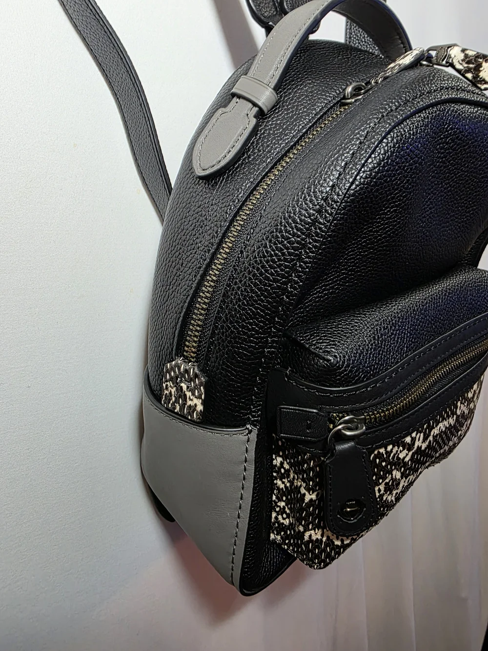 Coach Campus Backpack 23 Black Pebble Leather Gray Snakeskin Mini Backpack 2019